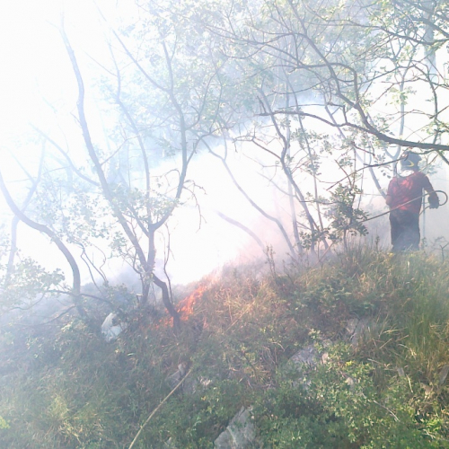 Incendio boschivo 08/07/11 n. 1 / 68756