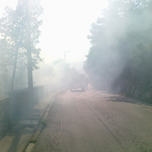 Incendio boschivo 08/07/11 n. 3 / 68758