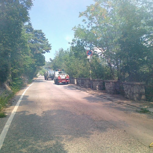 Incendio boschivo 08/07/11 n. 5 / 68760