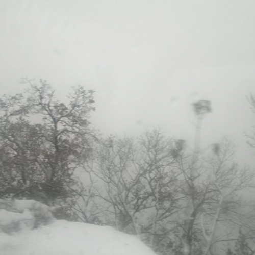 Emergenza neve a Trieste il 08/12/12 n. 2 / 89533