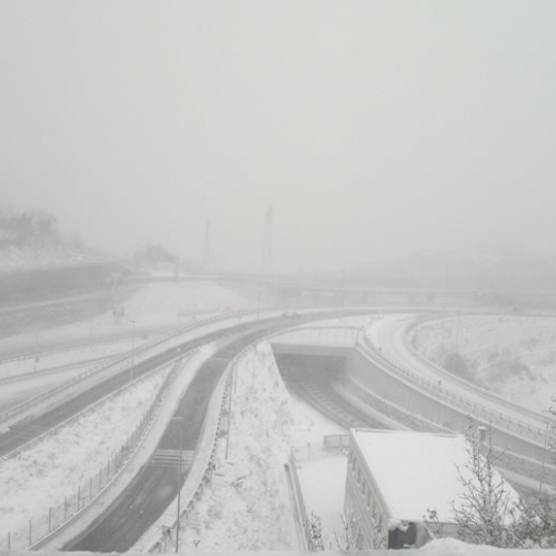 Emergenza neve a Trieste il 08/12/12 n. 5 / 89536