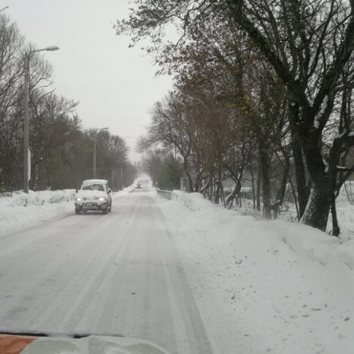Emergenza neve a Trieste il 08/12/12 n. 8 / 89539