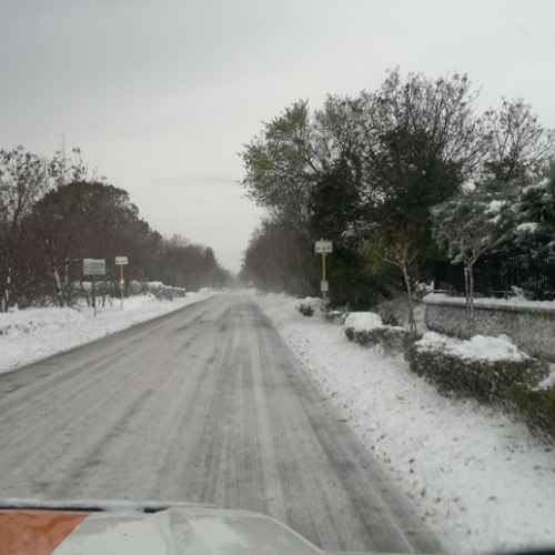 Emergenza neve a Trieste il 08/12/12 n. 11 / 89542