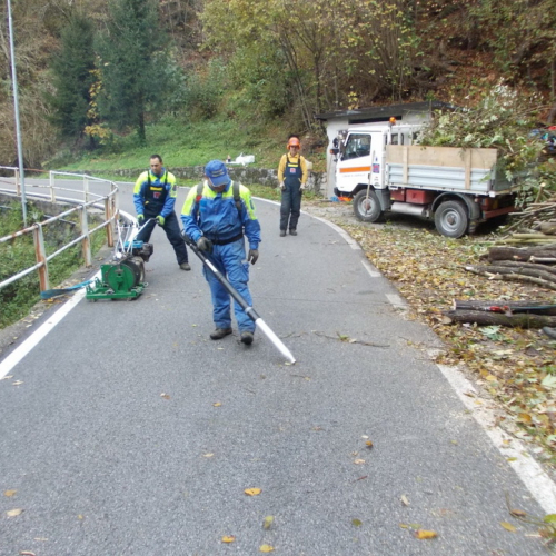 Pulizia alvei del 03/11 n. 10 / 88581