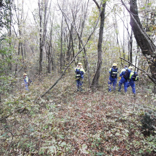 Esercitazione Monte San Simeone" n. 93""sercitazione "Monte San ""ercitazion" / 101126