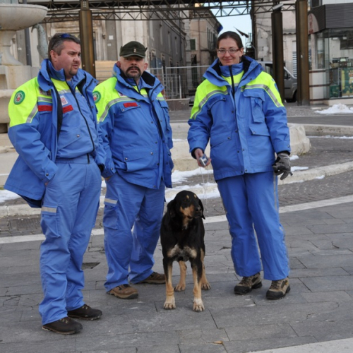 Consegna materiale didattico n. 42 / 48011