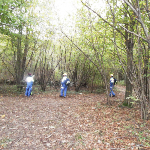 Esercitazione Monte San Simeone" n. 96""sercitazione "Monte San ""ercitazion" / 101129