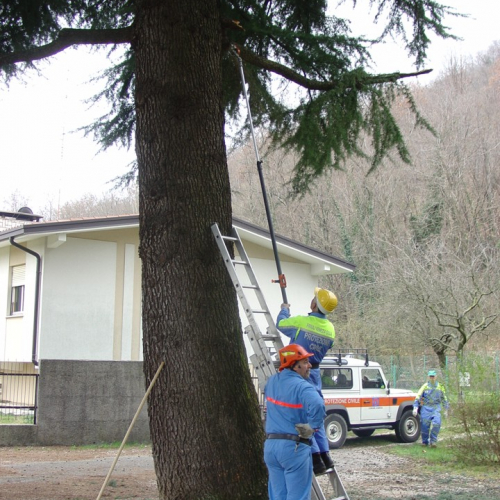 foto esercitazione n. 9 / 21409