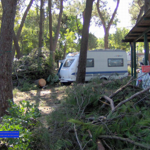 Volontari a Grado per emergenza 9 agosto 8 / 28019