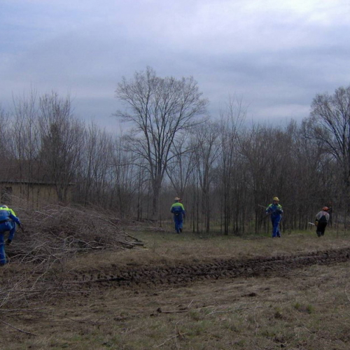 Addestramento 14/03 n. 5 / 35971