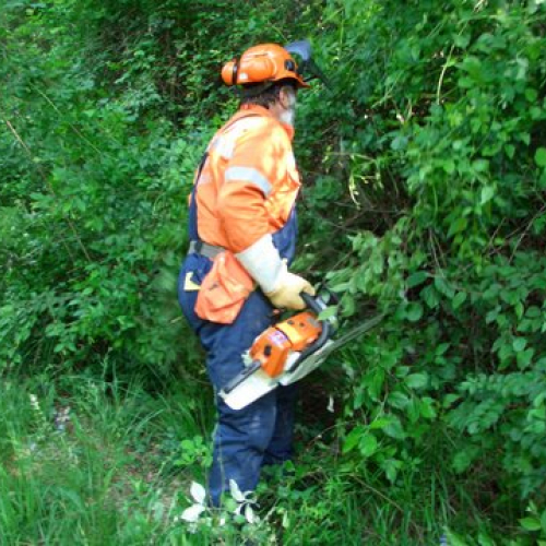 attivit‡ ripristino di una pista forestale n. 8 / 53626