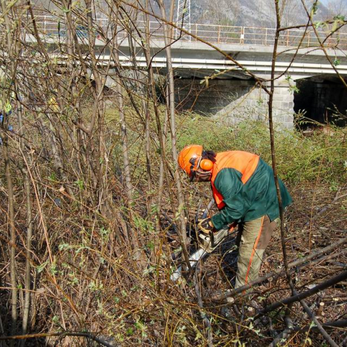 Intervento Venzone n. 7 / 79047