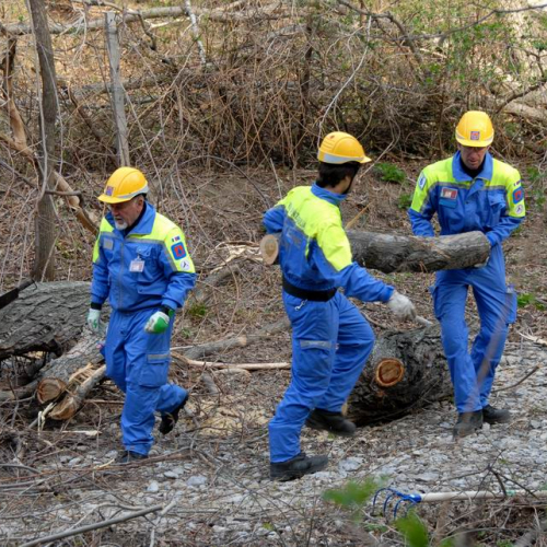 Intervento San Dorligo della Valle - Dolina n. 9 / 79121