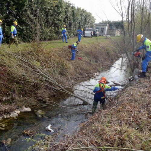 Intervento Caneva n. 9 / 78860