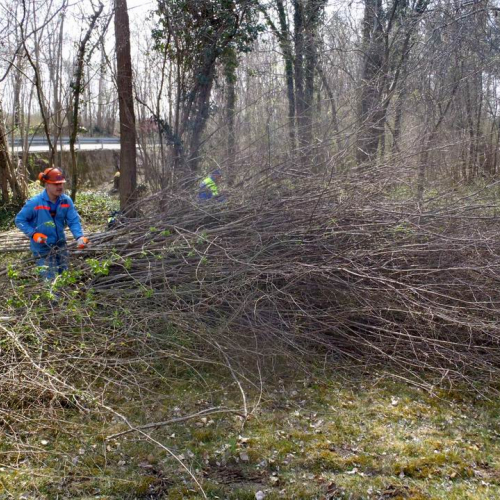 Intervento Fanna n. 8 / 78937