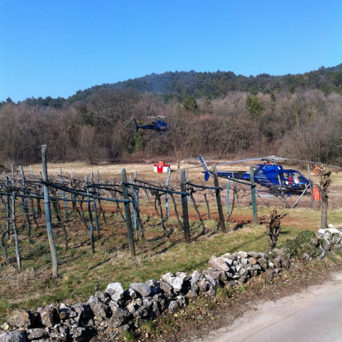 Incendio boschivo Ternova Alta n. 3 / 77393