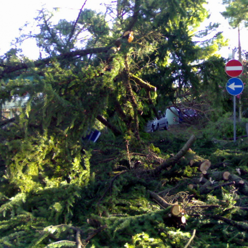 Emergenza 08/08 a Lignano n. 3 / 28687