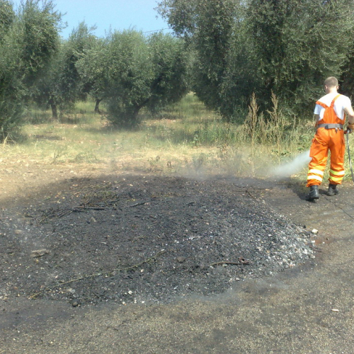 Attivit‡ 6∞ Turno Puglia 2013" n. 3""ttivit‡ 6∞ Turno " / 98493