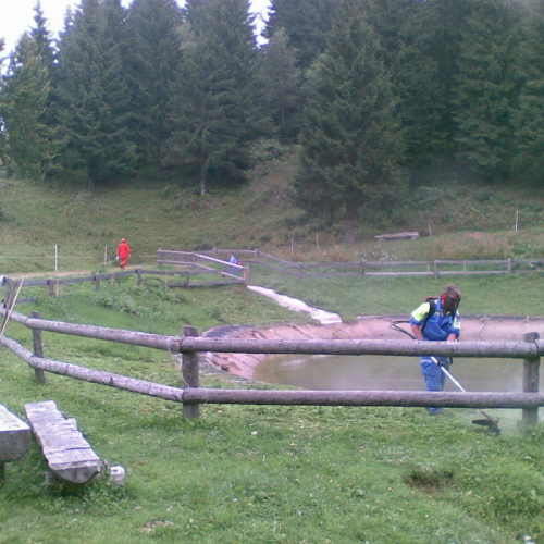 Intervento malga Dauda (Zuglio) n. 1 / 110720