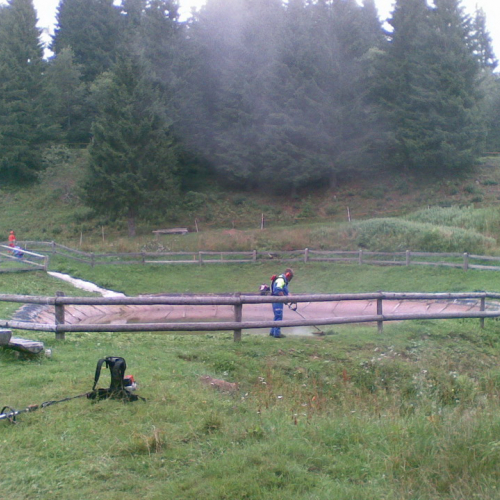 Intervento malga Dauda (Zuglio) n. 2 / 110721