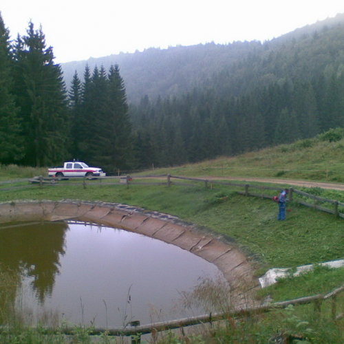 Intervento malga Dauda (Zuglio) n. 3 / 110722