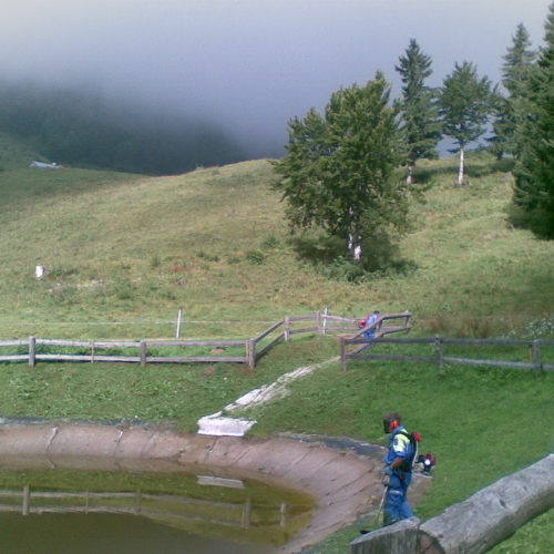 Intervento malga Dauda (Zuglio) n. 5 / 110724