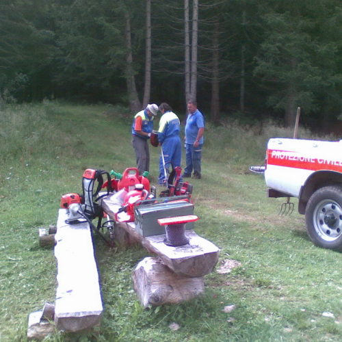 Intervento malga Dauda (Zuglio) n. 6 / 110725