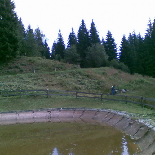 Intervento malga Dauda (Zuglio) n. 7 / 110726