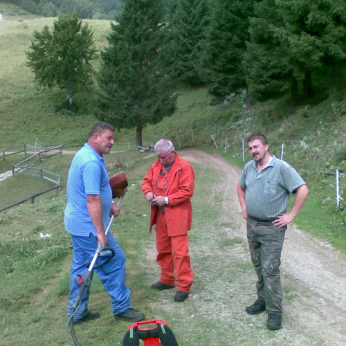 Intervento malga Dauda (Zuglio) n. 9 / 110728