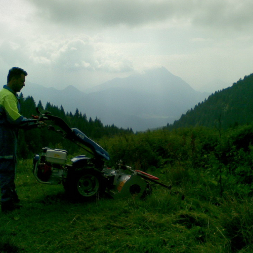 Intervento malga Dauda (Zuglio) n. 12 / 110731