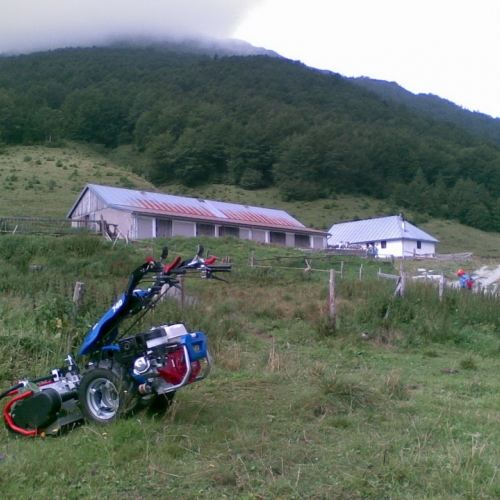 Intervento malga Dauda (Zuglio) n. 13 / 110732