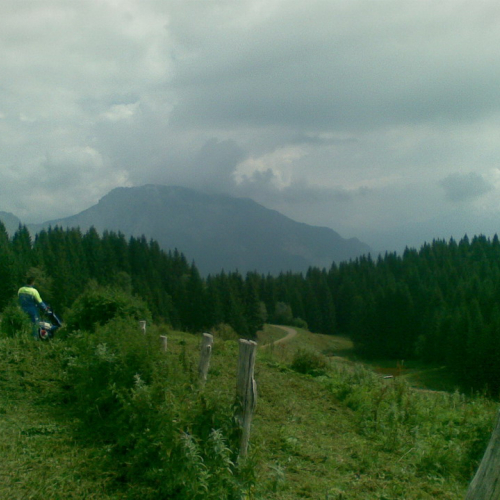 Intervento malga Dauda (Zuglio) n. 16 / 110735