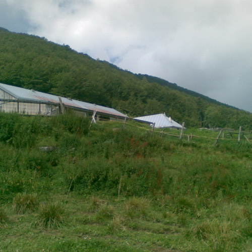 Intervento malga Dauda (Zuglio) n. 17 / 110736