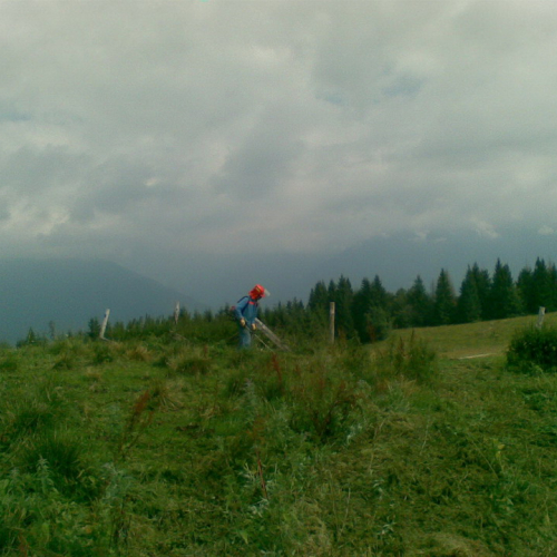 Intervento malga Dauda (Zuglio) n. 18 / 110737