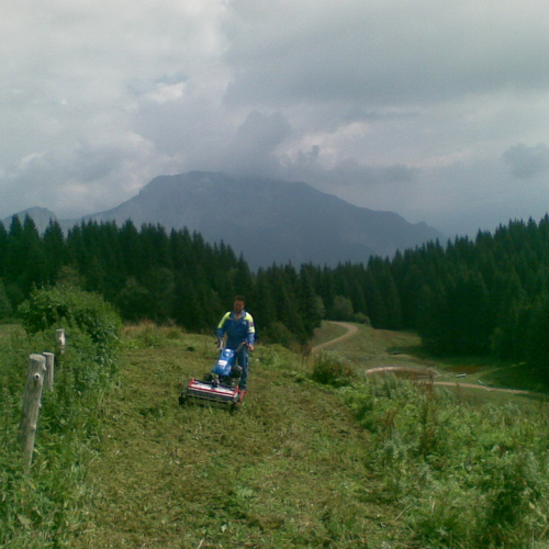 Intervento malga Dauda (Zuglio) n. 19 / 110738