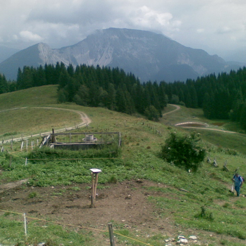 Intervento malga Dauda (Zuglio) n. 21 / 110740