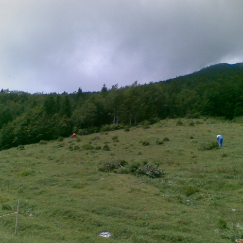 Intervento malga Dauda (Zuglio) n. 22 / 110741