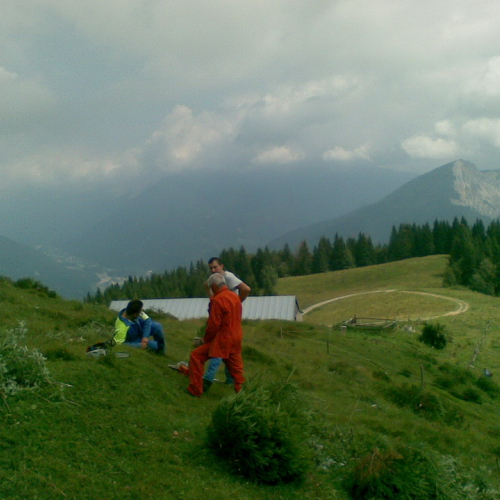Intervento malga Dauda (Zuglio) n. 23 / 110742