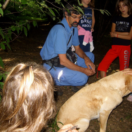 centro Estivo n. 9 / 27802