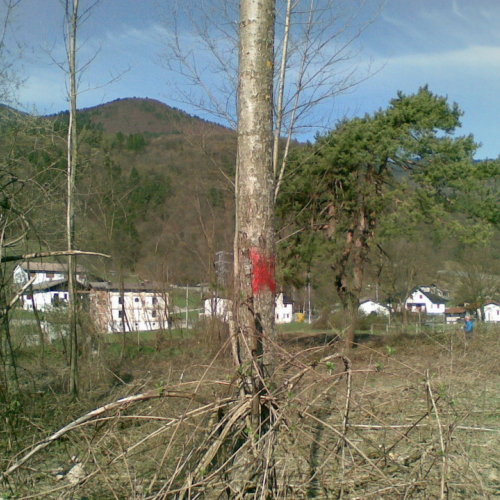 Attivit‡ 02/04/11 n. 9 / 63433