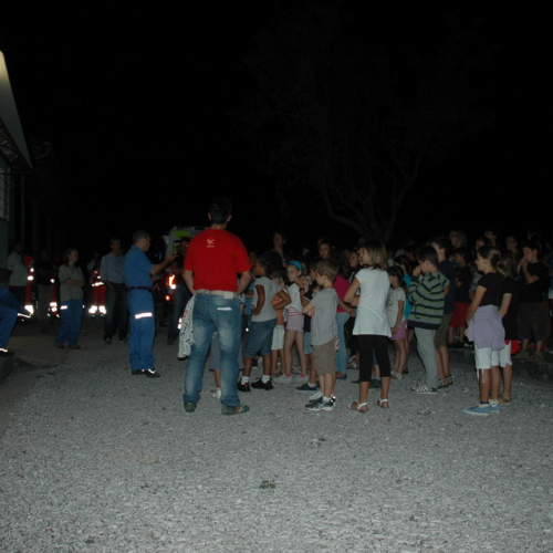 G.R.E.S.T. 2011 n. 60 / 70403