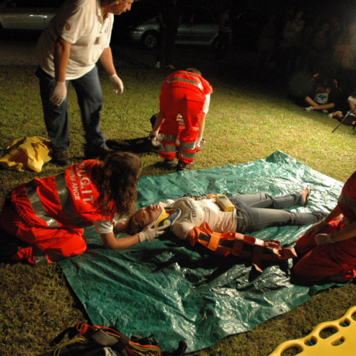 G.R.E.S.T. 2011 n. 61 / 70404