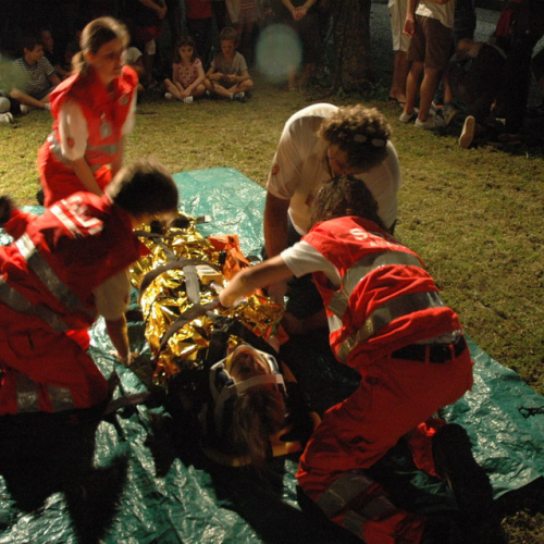 G.R.E.S.T. 2011 n. 62 / 70405