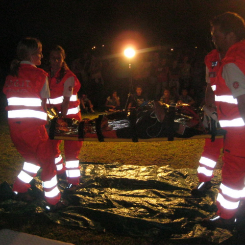 G.R.E.S.T. 2011 n. 73 / 70416