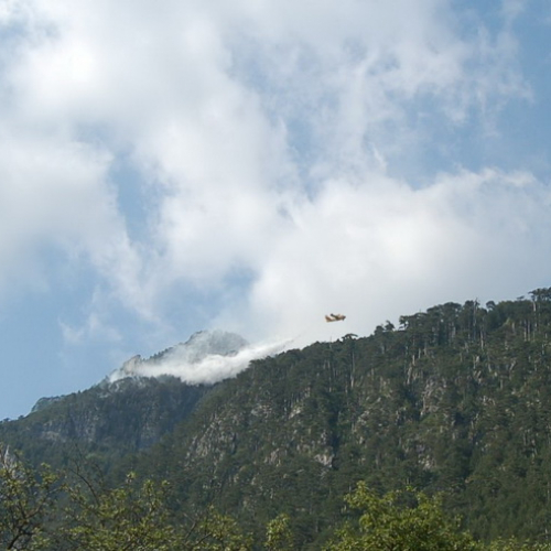 Operazioni di spegnimento del 17/07 n. 8 / 97676