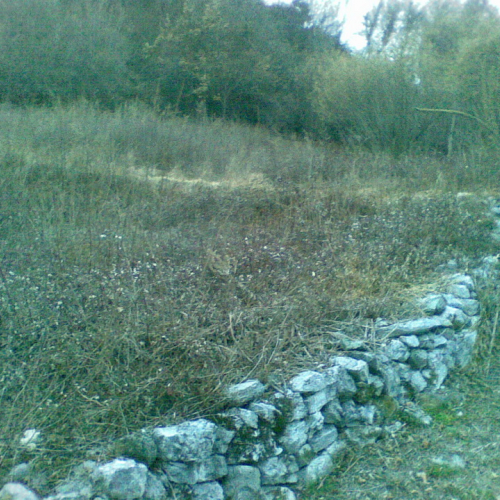 Attivit‡ di pulizia pieve di San Pietro n. 2 / 79768