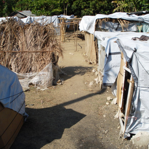 Haiti 10 febbraio n. 13 / 48554