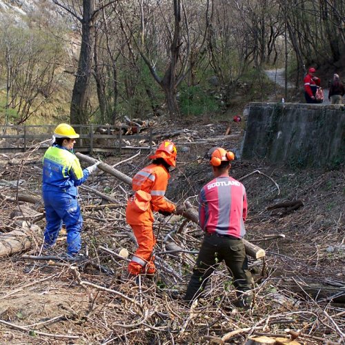 Intervento San Dorligo della Valle - Dolina n. 10 / 79122