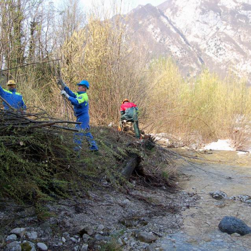 Intervento Venzone n. 8 / 79048