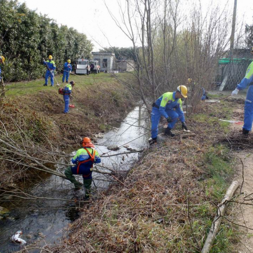 Intervento Caneva n. 10 / 78861